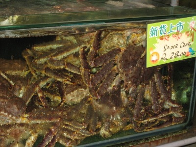 [IMG_17732.jpg]