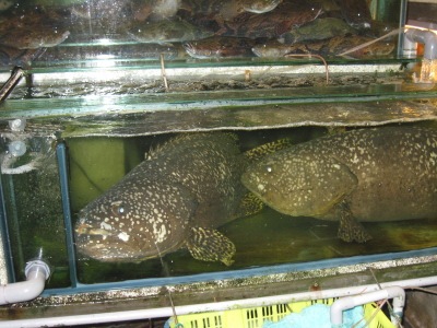 [IMG_17802.jpg]