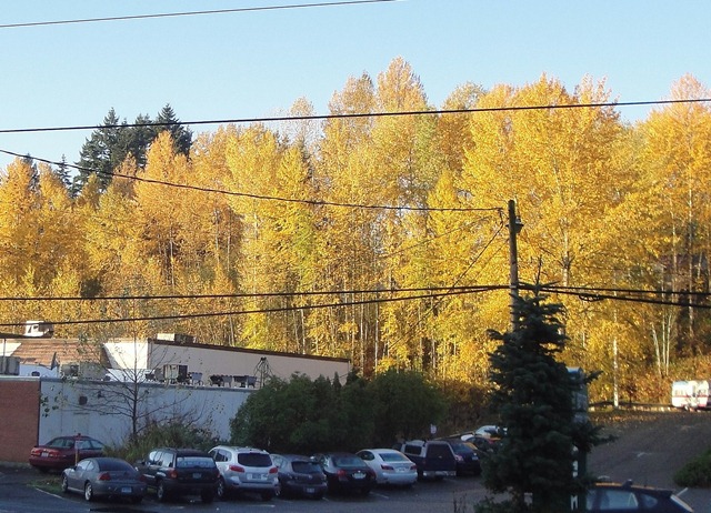 [DSC08882[7].jpg]
