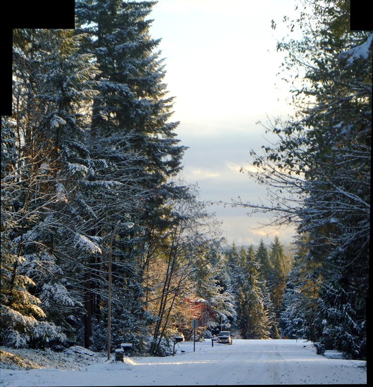 [Seattle Snowfall 04[2].jpg]