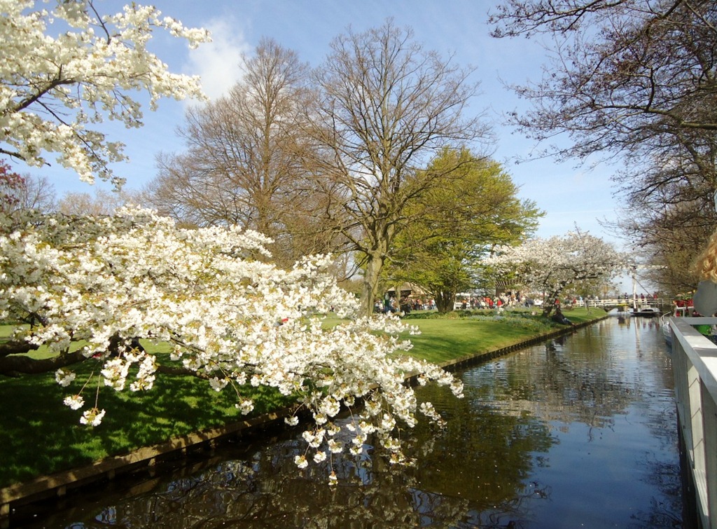 [2011-Keukenhof-355.jpg]