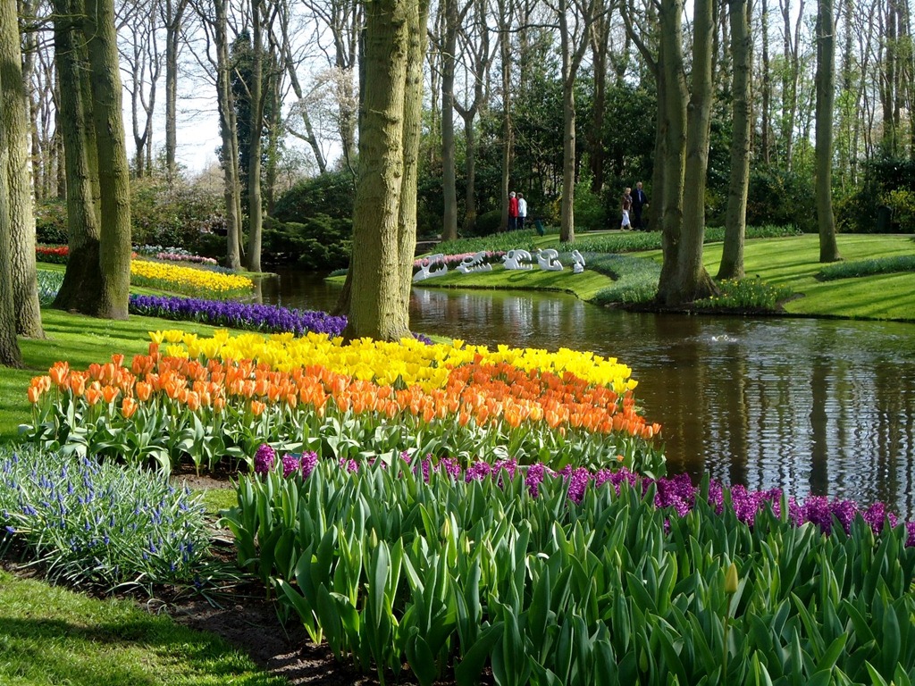[2011-Keukenhof-063.jpg]