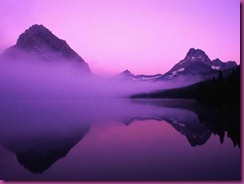 lagovioletadeCoele