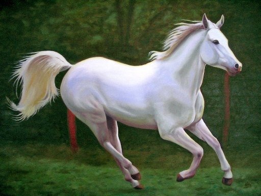 [caballo blanco[2].jpg]