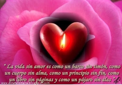 [vida con amor[2].jpg]