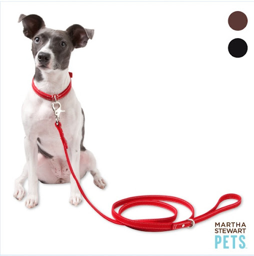 This lightweight and sturdy canvas leash looks so stylish.