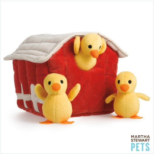 Toys inside toys test your dog's problem-solving skills and what better way than with a MS chicken coop.