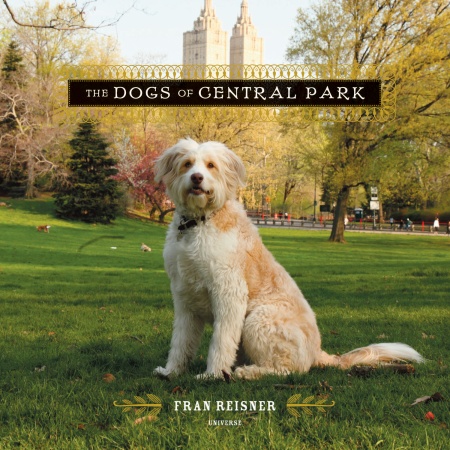 I love this book, The Dogs of Central Park,  for its unique look at New York's cherished pets.