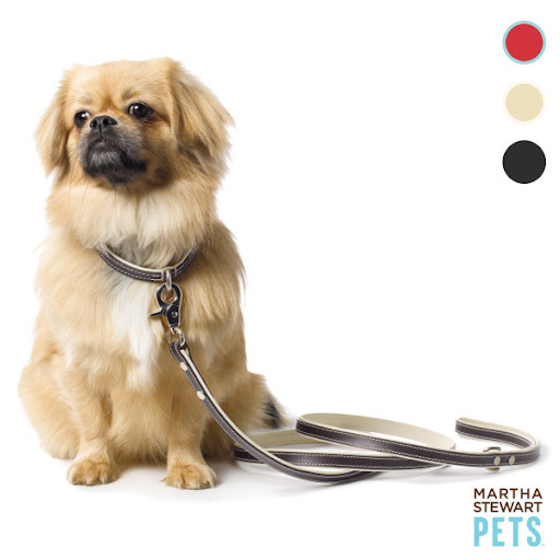 This classic leather leash is one of my favorites. (petsmart.com)