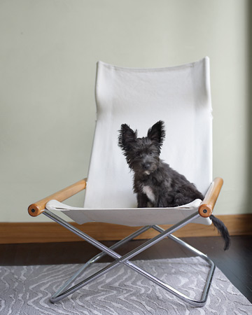 Heidi Posner's puppy, Moo, really takes center stage here. (Martha Stewart Living)