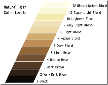 Wella Hair Level Chart