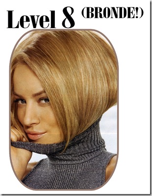 0002 Level8 Bronde 0002 Level8 Bronde