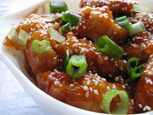 [sesame_chicken_1[3].jpg]