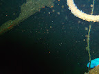 PICT0120.JPG