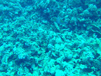 PICT0135.JPG