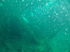 PICT0271.JPG