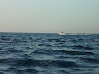 PICT0314.JPG