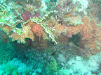 PICT0380.JPG