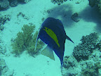 PICT0362.JPG