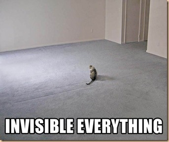 invisible-everything