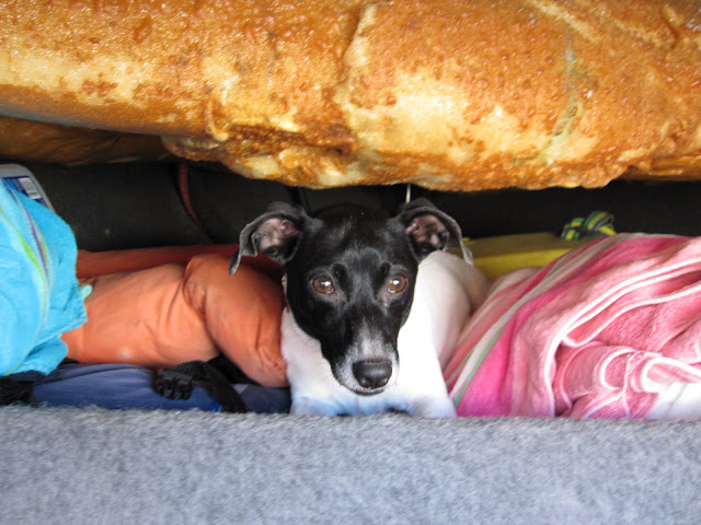 Liko found a suite in the bow of the boat
