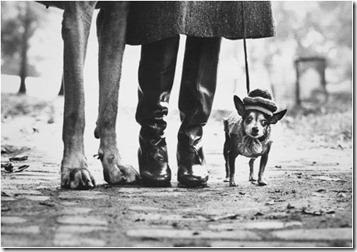 Elliot_Erwitt_NYC_1974_dog_legs