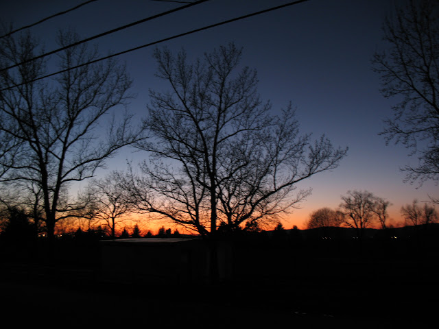 Sunset over the Alien Lesbian Cow Park
