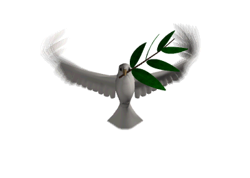 Paz Paz