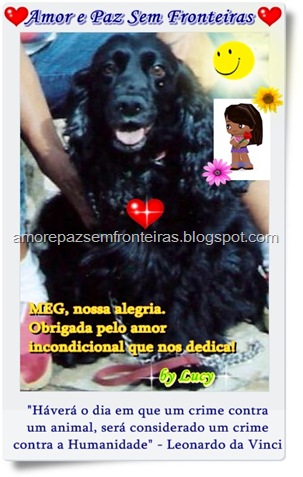 Meg meu amorzinho de 4 patas!