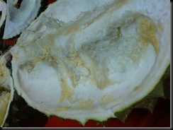 DSC02374