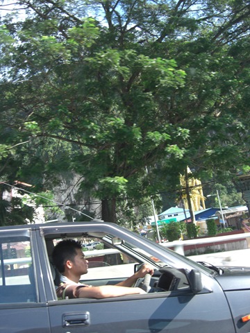 [CIMG26812.jpg]