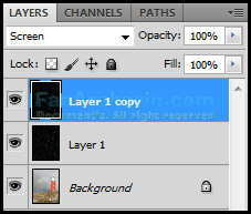 Layer Copy