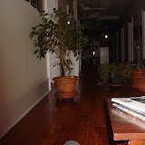 DSC03209.JPG