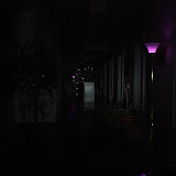 DSC03207.JPG