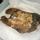 DSC03228.JPG