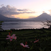 IMG_0745.JPG
