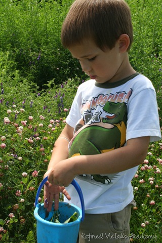 [IMG_00629.jpg]