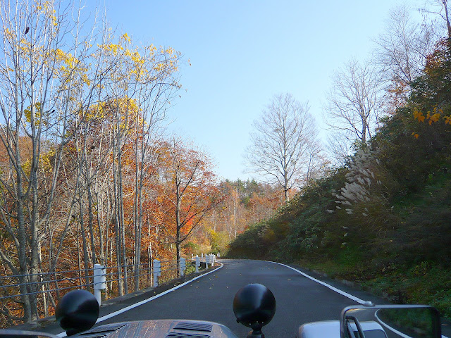 大きくしてね♪