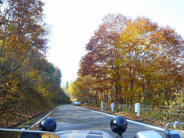 大きくしてね♪