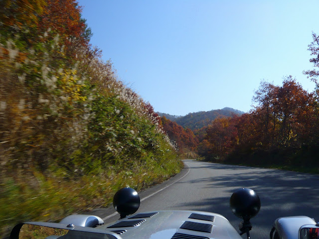 大きくしてね♪