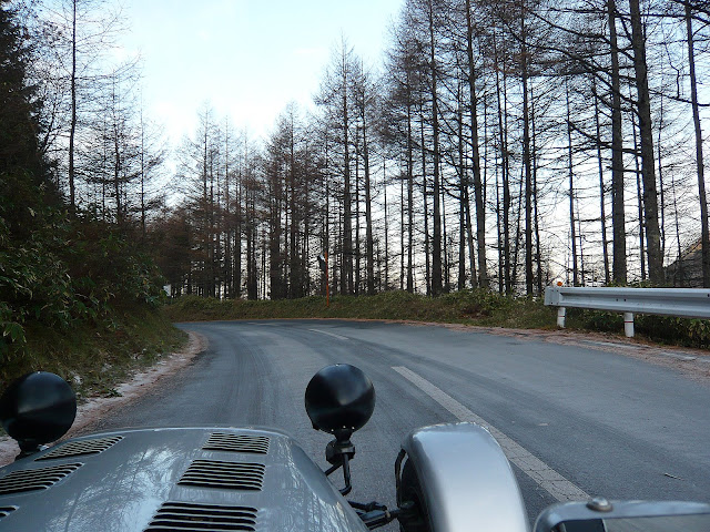 大きくしてね♪