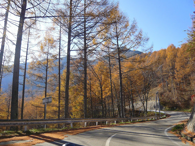 大きくしてね♪