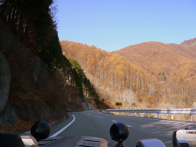 大きくしてね♪