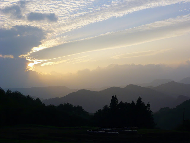 大きくしてね♪