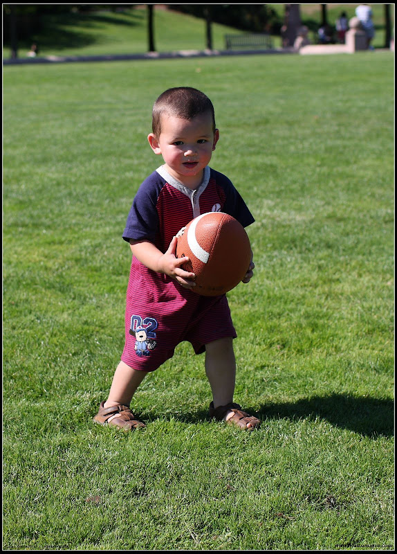 IMAGE: http://lh5.ggpht.com/_cYmfRMewE4Q/SOkOG5OErDI/AAAAAAAAFuw/5KIWlHF8uMs/s800/IMG_0487.JPG