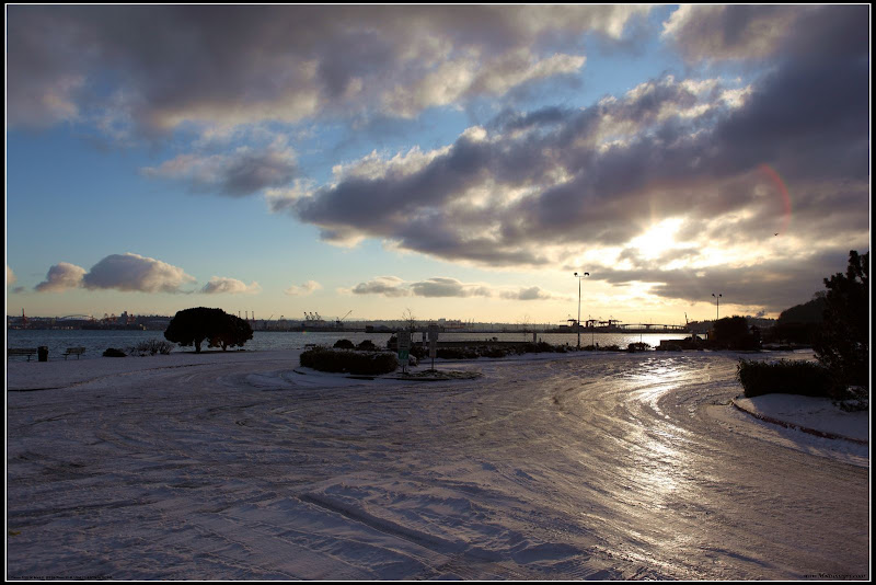 IMAGE: http://lh5.ggpht.com/_cYmfRMewE4Q/SUxP4cyfhhI/AAAAAAAAIqM/TKjo5yP6eT0/s800/IMG_0128.JPG