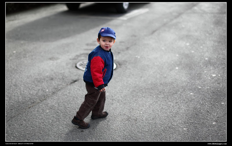 IMAGE: http://lh5.ggpht.com/_cYmfRMewE4Q/SZkE1ZRuNnI/AAAAAAAAJwY/Ced5JOttWzI/s800/IMG_1502.JPG