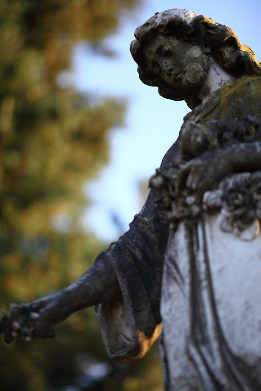 IMAGE: http://lh5.ggpht.com/_cYmfRMewE4Q/Sm7tSaZRW4I/AAAAAAAAMl4/-NNjenocI70/s800/IMG_4045.JPG