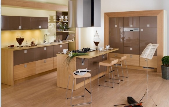 [beautiful-wooden-kitchen-582x369[3].jpg]