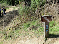 CIMG0195.JPG Photo